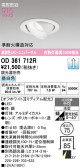 ODELIC �����ǥ�å� LED ������饤�� OD361712R