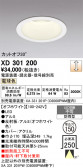 ODELIC �����ǥ�å� LED ������饤�� XD301200