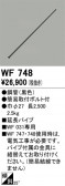ODELIC �����ǥ�å� ������󥰥ե��� WF748
