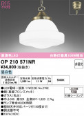 ODELIC �����ǥ�å� LED �ڥ����ȥ饤�� OP210571NR