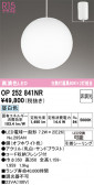 ODELIC �����ǥ�å� LED �ڥ����ȥ饤�� OP252841NR