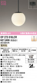 ODELIC �����ǥ�å� LED �ڥ����ȥ饤�� OP273018LCR