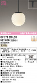 ODELIC �����ǥ�å� LED �ڥ����ȥ饤�� OP273019LCR