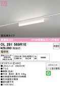 ODELIC �����ǥ�å� LED �١����饤�� OL291569R1E