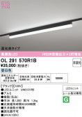 ODELIC �����ǥ�å� LED �١����饤�� OL291570R1B