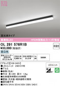 ODELIC �����ǥ�å� LED �١����饤�� OL291576R1B