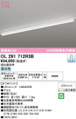 ODELIC �����ǥ�å� LED �١����饤�� OL291712R3B