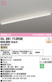 ODELIC �����ǥ�å� LED �١����饤�� OL291712R3E