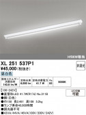 ODELIC �����ǥ�å� LED �١����饤�� XL251537P1