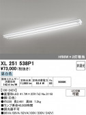 ODELIC �����ǥ�å� LED �١����饤�� XL251538P1
