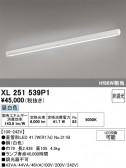 ODELIC �����ǥ�å� LED �١����饤�� XL251539P1