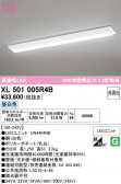 ODELIC �����ǥ�å� LED �١����饤�� XL501005R4B