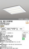 ODELIC �����ǥ�å� LED �١����饤�� XL501015P2E