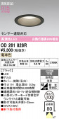ODELIC �����ǥ�å� LED �������ƥꥢ�饤�� OD261828R