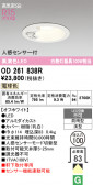 ODELIC �����ǥ�å� LED �������ƥꥢ�饤�� OD261838R