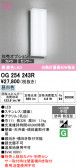 ODELIC �����ǥ�å� LED �������ƥꥢ�饤�� OG254243R