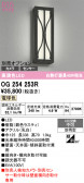 ODELIC �����ǥ�å� LED �������ƥꥢ�饤�� OG254253R