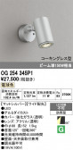 ODELIC �����ǥ�å� LED �������ƥꥢ�饤�� OG254345P1