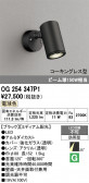 ODELIC �����ǥ�å� LED �������ƥꥢ�饤�� OG254347P1