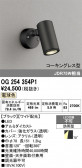 ODELIC �����ǥ�å� LED �������ƥꥢ�饤�� OG254354P1