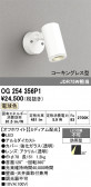 ODELIC �����ǥ�å� LED �������ƥꥢ�饤�� OG254356P1