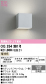 ODELIC �����ǥ�å� LED �������ƥꥢ�饤�� OG254381R