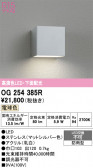 ODELIC �����ǥ�å� LED �������ƥꥢ�饤�� OG254385R