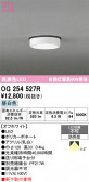 ODELIC �����ǥ�å� LED �������ƥꥢ�饤�� OG254527R