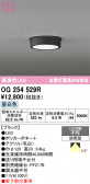 ODELIC �����ǥ�å� LED �������ƥꥢ�饤�� OG254529R