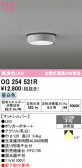 ODELIC �����ǥ�å� LED �������ƥꥢ�饤�� OG254531R
