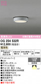 ODELIC �����ǥ�å� LED �������ƥꥢ�饤�� OG254532R