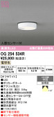 ODELIC �����ǥ�å� LED �������ƥꥢ�饤�� OG254534R