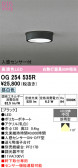 ODELIC �����ǥ�å� LED �������ƥꥢ�饤�� OG254535R