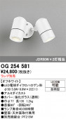 ODELIC �����ǥ�å� LED �������ƥꥢ�饤�� OG254581
