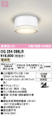 ODELIC �����ǥ�å� LED �������ƥꥢ�饤�� OG254598LR