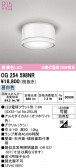 ODELIC �����ǥ�å� LED �������ƥꥢ�饤�� OG254598NR