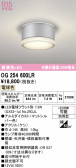 ODELIC �����ǥ�å� LED �������ƥꥢ�饤�� OG254600LR