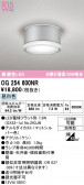 ODELIC �����ǥ�å� LED �������ƥꥢ�饤�� OG254600NR