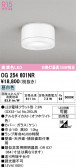 ODELIC �����ǥ�å� LED �������ƥꥢ�饤�� OG254601NR