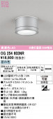 ODELIC �����ǥ�å� LED �������ƥꥢ�饤�� OG254603NR