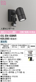ODELIC �����ǥ�å� LED �������ƥꥢ�饤�� OG254639NR