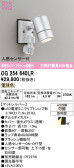 ODELIC �����ǥ�å� LED �������ƥꥢ�饤�� OG254640LR