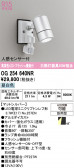 ODELIC �����ǥ�å� LED �������ƥꥢ�饤�� OG254640NR
