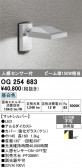 ODELIC �����ǥ�å� LED �������ƥꥢ�饤�� OG254683