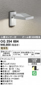 ODELIC �����ǥ�å� LED �������ƥꥢ�饤�� OG254684
