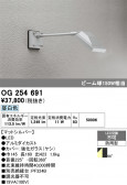 ODELIC �����ǥ�å� LED �������ƥꥢ�饤�� OG254691