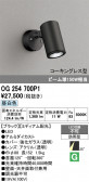ODELIC �����ǥ�å� LED �������ƥꥢ�饤�� OG254700P1