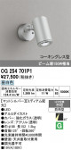 ODELIC �����ǥ�å� LED �������ƥꥢ�饤�� OG254701P1