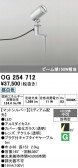 ODELIC �����ǥ�å� LED �������ƥꥢ�饤�� OG254712