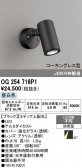ODELIC �����ǥ�å� LED �������ƥꥢ�饤�� OG254716P1